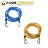 bungee-cord-bike-luggage-strap-blue-rent-x-dog-treekig.