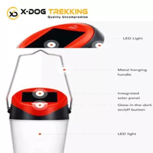 lamp-d-light-rent-x-dog-trekking-banglore