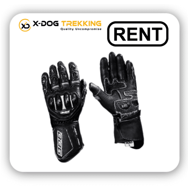top rated motorcycle gloves for rent