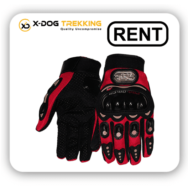 top rated motorcycle gloves for rental